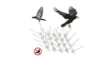 Afbeelding in Gallery-weergave laden, Vogel afweer pinnen 10 stuks