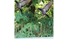 Afbeelding in Gallery-weergave laden, Vogel afweer pinnen 10 stuks