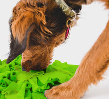 Afbeelding in Gallery-weergave laden, Snuffelmat appel 42x48cm