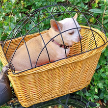 Afbeelding in Gallery-weergave laden, Fietsmand 2 in 1 dieren