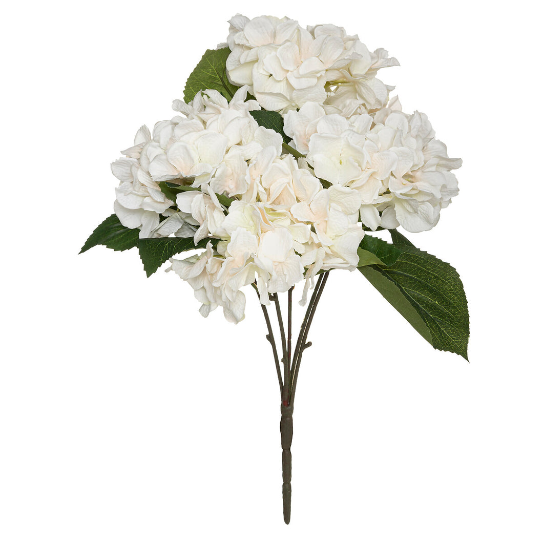 Boeketje Hortensia's