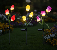 Afbeelding in Gallery-weergave laden, Solar tuinverlichting tulpen H79cm
