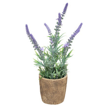 Afbeelding in Gallery-weergave laden, Kunst plantje lavendel
