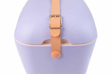 Afbeelding in Gallery-weergave laden, Koelbox polarbox 20l retro pastel kleuren
