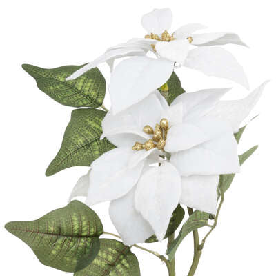 Kersttak Poinsettia wit fluweel 75cm