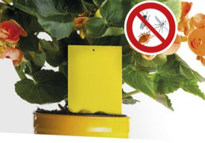 Insectenval voor planten 10 stuks