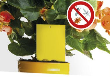 Insectenval voor planten 10 stuks