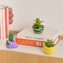 Afbeelding in Gallery-weergave laden, Kunst vetplantjes fruit
