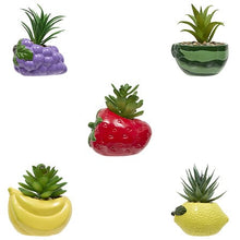 Afbeelding in Gallery-weergave laden, Kunst vetplantjes fruit
