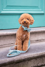 Afbeelding in Gallery-weergave laden, Halsband fluweel blauw
