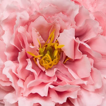 Afbeelding in Gallery-weergave laden, Kunst rozenbloemen in pot
