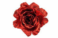 Kerst roos op clip rood