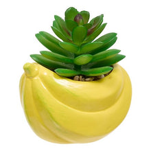 Afbeelding in Gallery-weergave laden, Kunst vetplantjes fruit

