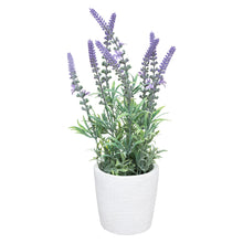 Afbeelding in Gallery-weergave laden, Kunst plantje lavendel
