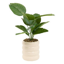 Afbeelding in Gallery-weergave laden, Kunst Strelitzia in pot
