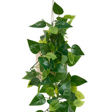 Afbeelding in Gallery-weergave laden, Hang kunst plant met beige pot H82cm
