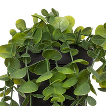 Afbeelding in Gallery-weergave laden, Hangende eucalyptus plant met pot 51cm PROMO 2 VOOR €10
