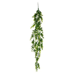 Hangende Alwy plant 75cm