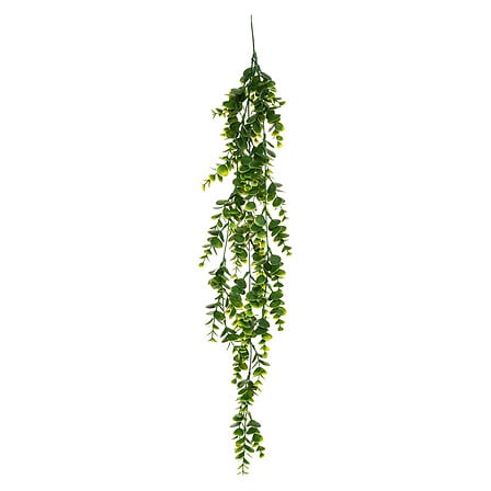 Hangende Alwy plant 75cm