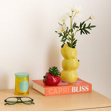 Afbeelding in Gallery-weergave laden, Kunst vetplantjes fruit
