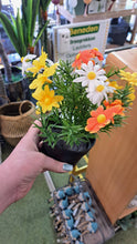 Afbeelding in Gallery-weergave laden, Potje met bloemen H25cm
