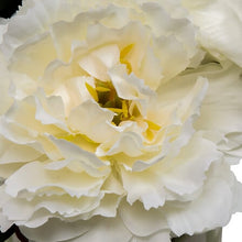 Afbeelding in Gallery-weergave laden, Kunst rozenbloemen in pot
