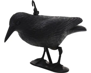 Vogelverjager afweer kraai