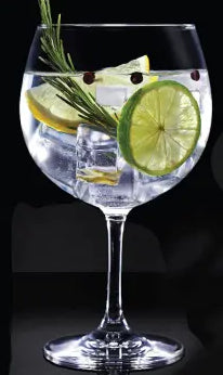 Gin Tonic glazen 2 stuks 650ml