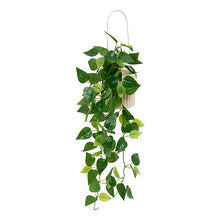 Afbeelding in Gallery-weergave laden, Hang kunst plant met beige pot H82cm
