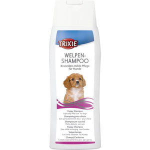 Shampoo puppy