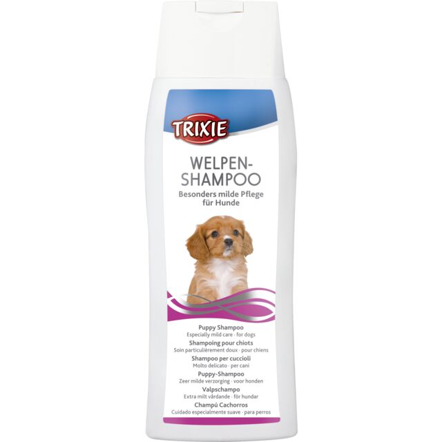 Shampoo puppy