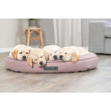 Afbeelding in Gallery-weergave laden, Dierenkussen afneembare hoes luxe pluche 3 maten
