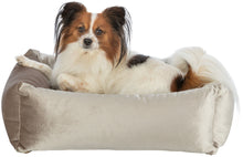 Afbeelding in Gallery-weergave laden, Dierenkussen afneembare hoes luxe Velours 3 kleuren 2 maten
