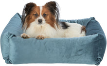 Afbeelding in Gallery-weergave laden, Dierenkussen afneembare hoes luxe Velours 3 kleuren 2 maten
