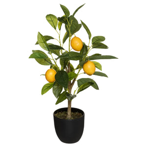 Kunst citroen plant H43cm