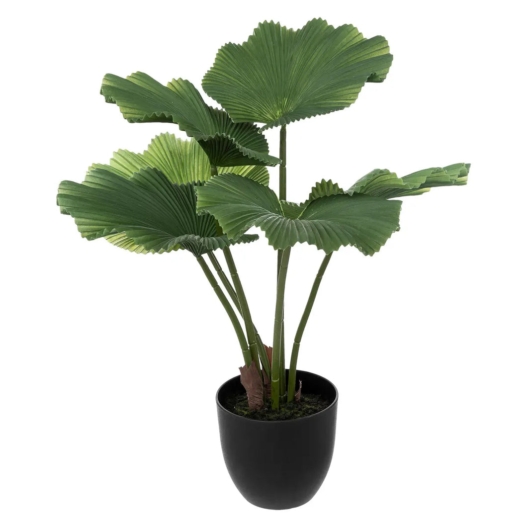 Kunst Lotus plant H65cm
