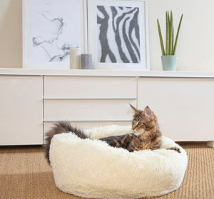 Dierenkussen 55cm super soft 6 kleuren