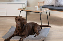 Afbeelding in Gallery-weergave laden, Dierenkussen grijs/blauw eco rh 100x65cm
