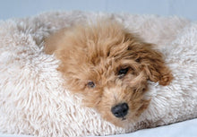 Afbeelding in Gallery-weergave laden, Dierenkussen 55cm super soft 6 kleuren
