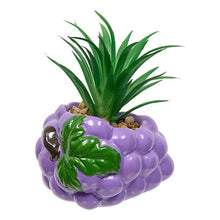 Afbeelding in Gallery-weergave laden, Kunst vetplantjes fruit
