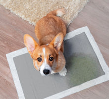 Afbeelding in Gallery-weergave laden, Puppy training doek 60x90cm 10delig
