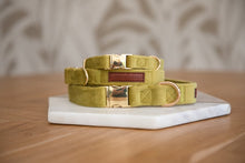 Afbeelding in Gallery-weergave laden, Halsband fluweel groen
