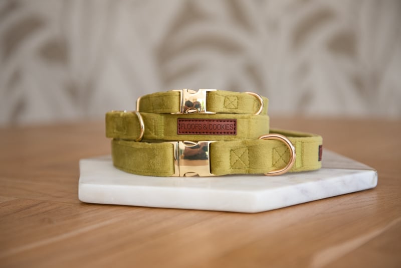 Halsband fluweel groen