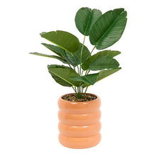 Afbeelding in Gallery-weergave laden, Kunst Strelitzia in pot
