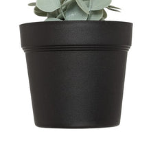 Afbeelding in Gallery-weergave laden, Hangende eucalyptus plant met pot 51cm PROMO 2 VOOR €10
