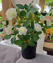 Afbeelding in Gallery-weergave laden, Rozen in pot met ledverlichting H26cm
