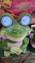 Afbeelding in Gallery-weergave laden, Solar tuin figuren met bewegende ogen
