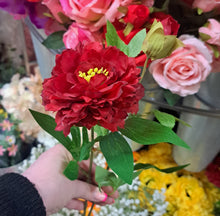 Afbeelding in Gallery-weergave laden, Chrysant tak 3 keuren 64cm
