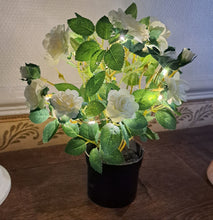 Afbeelding in Gallery-weergave laden, Rozen in pot met ledverlichting H26cm
