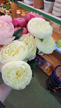 Afbeelding in Gallery-weergave laden, Boeket Ranonkels H45cm
